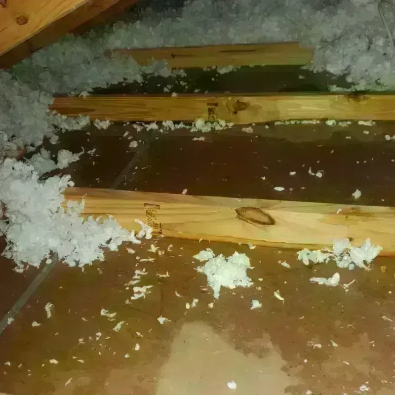 Attic Water Damage in Richmond Hill, NY